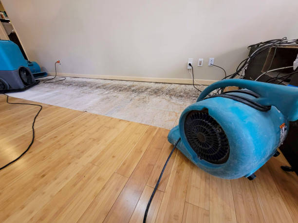 Professional Burst Pipe Water Damage technician working in Pound, WI